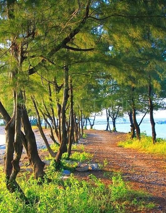 Pari Solata Seaview Homestay Syariah Kepulauan Seribu Extérieur photo